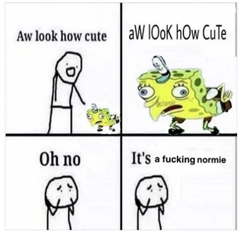 Normie meme